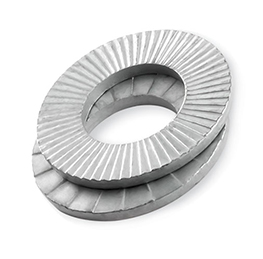 Alloy 20 Lock washers